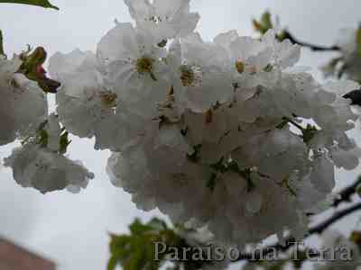 Me concedo- Jorge Bucay